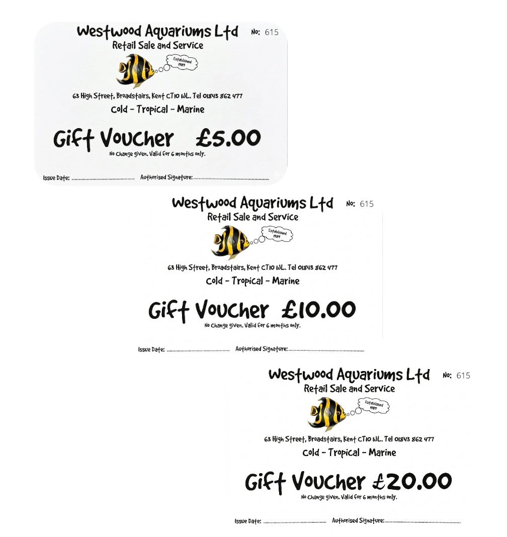 Gift Vouchers