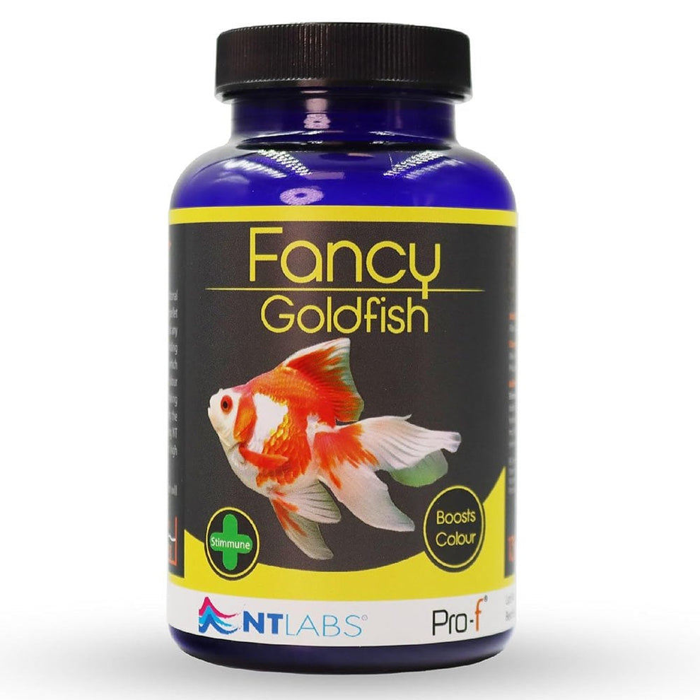 NT Labs Fancy Goldfish