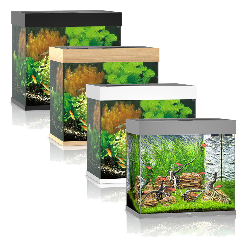Juwel Lido 200 LED Aquarium