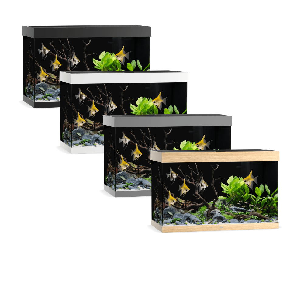 Juwel Rio 290 LED Aquarium