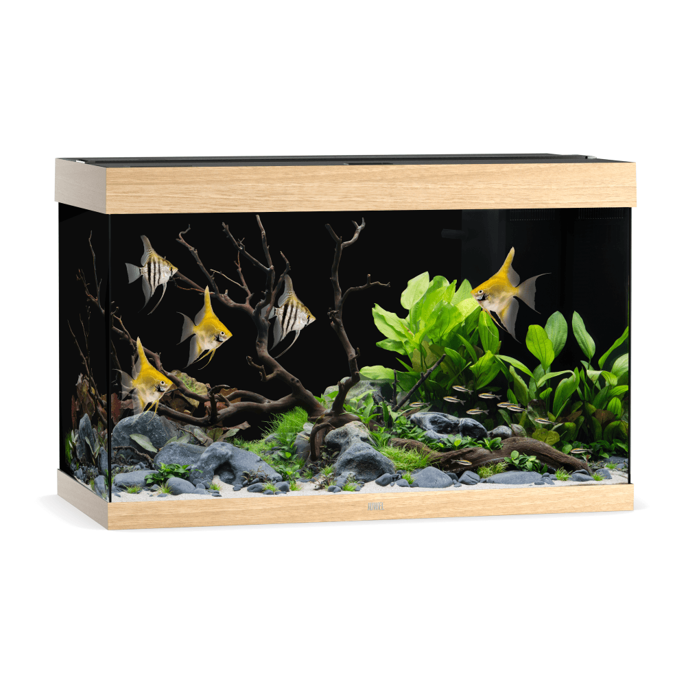 Juwel Rio 290 LED Aquarium