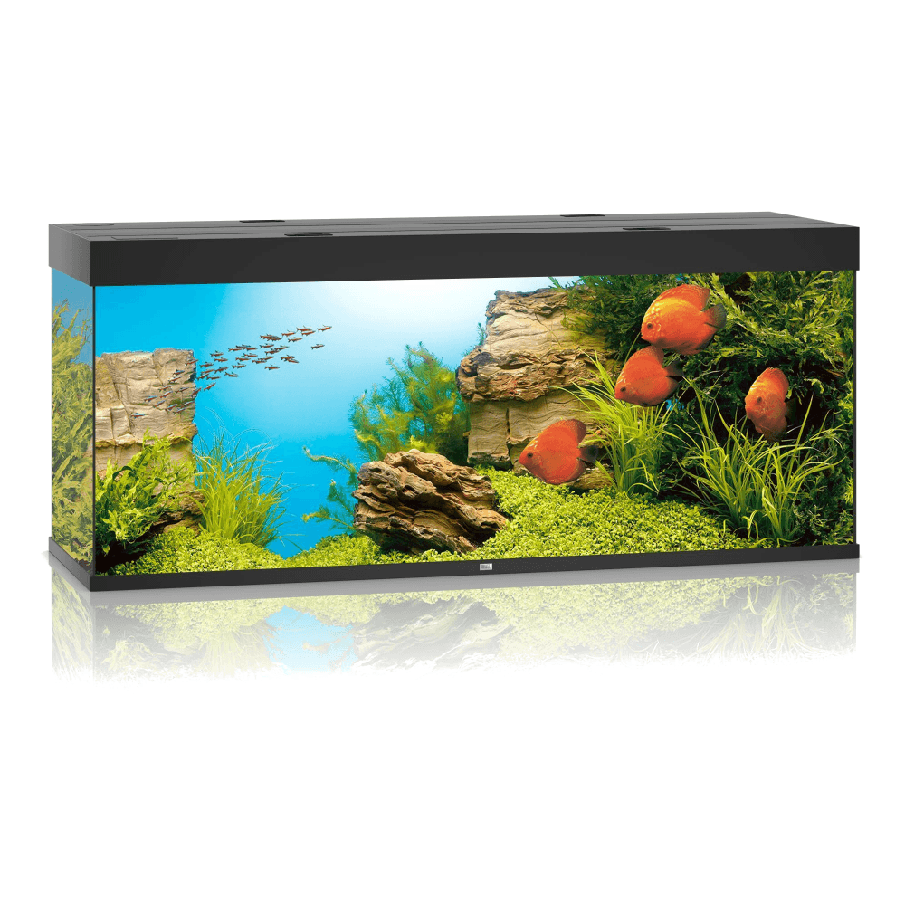 Juwel Rio 450 LED Aquarium