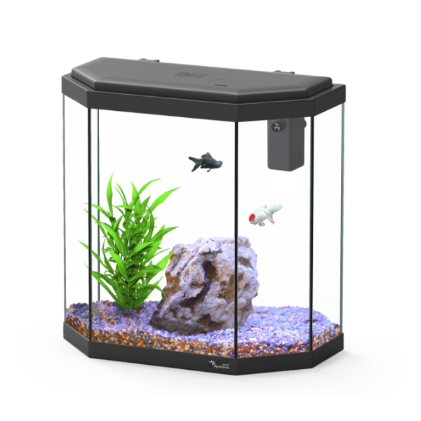 Explorer Rome 30L Aquarium