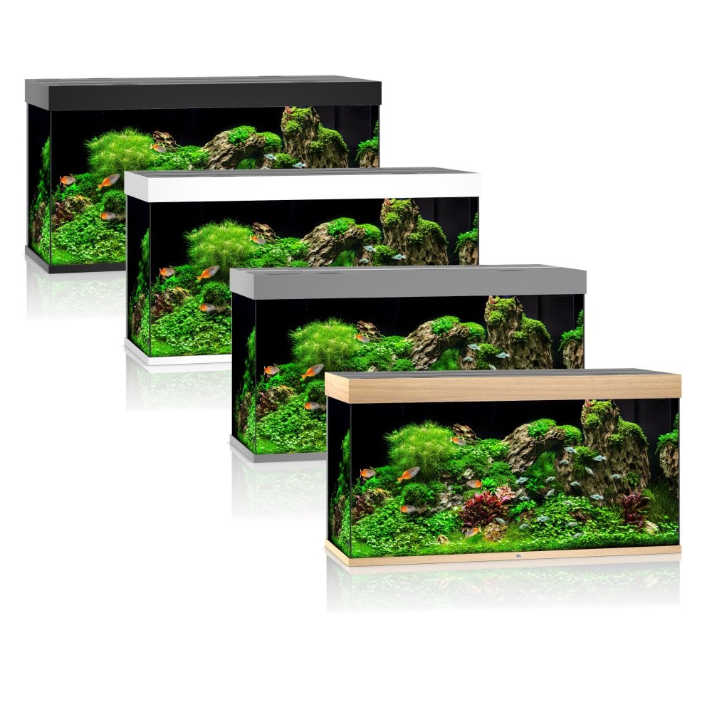 Juwel Rio 350 LED Aquarium