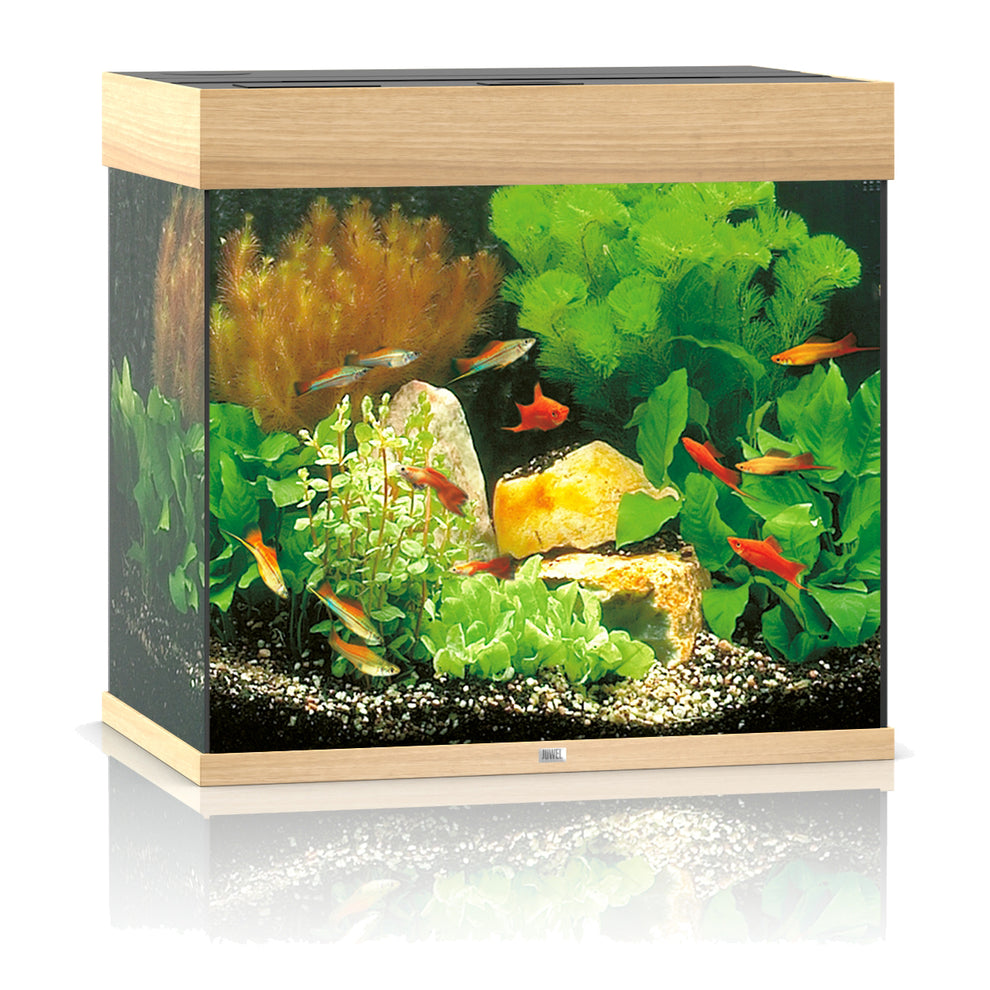 Juwel Lido 120 LED Aquarium