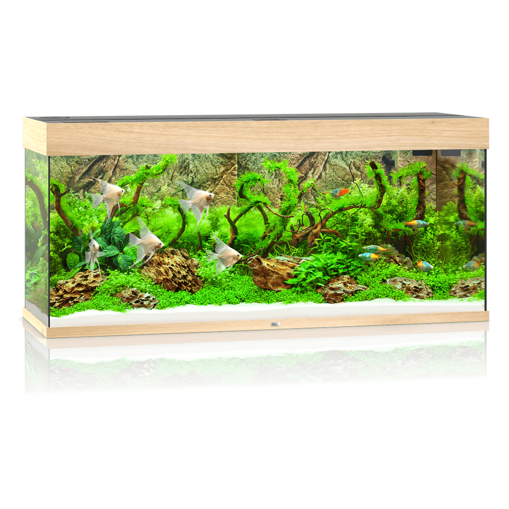 Juwel Rio 240 LED Aquarium