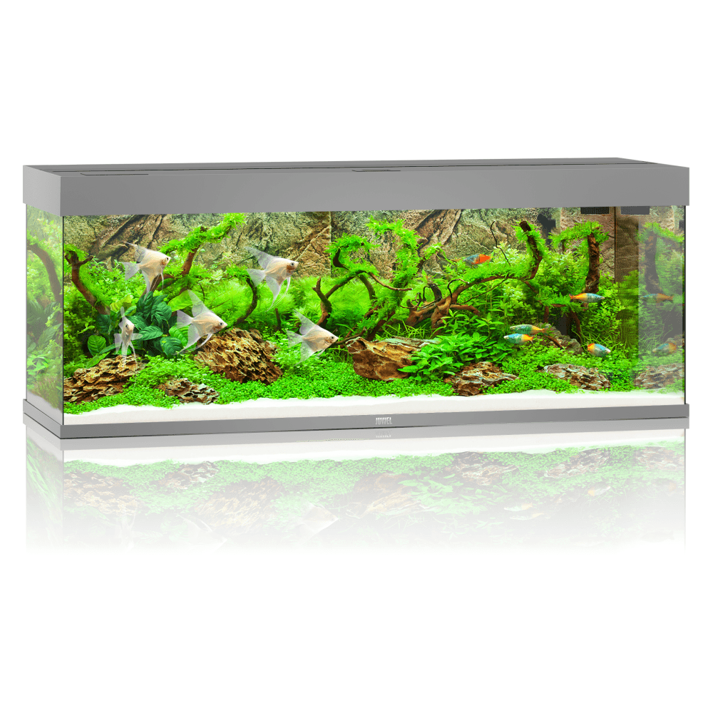 Juwel Rio 240 LED Aquarium