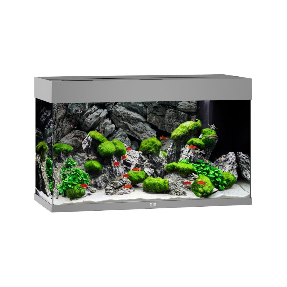 Juwel Rio 125 LED Aquarium