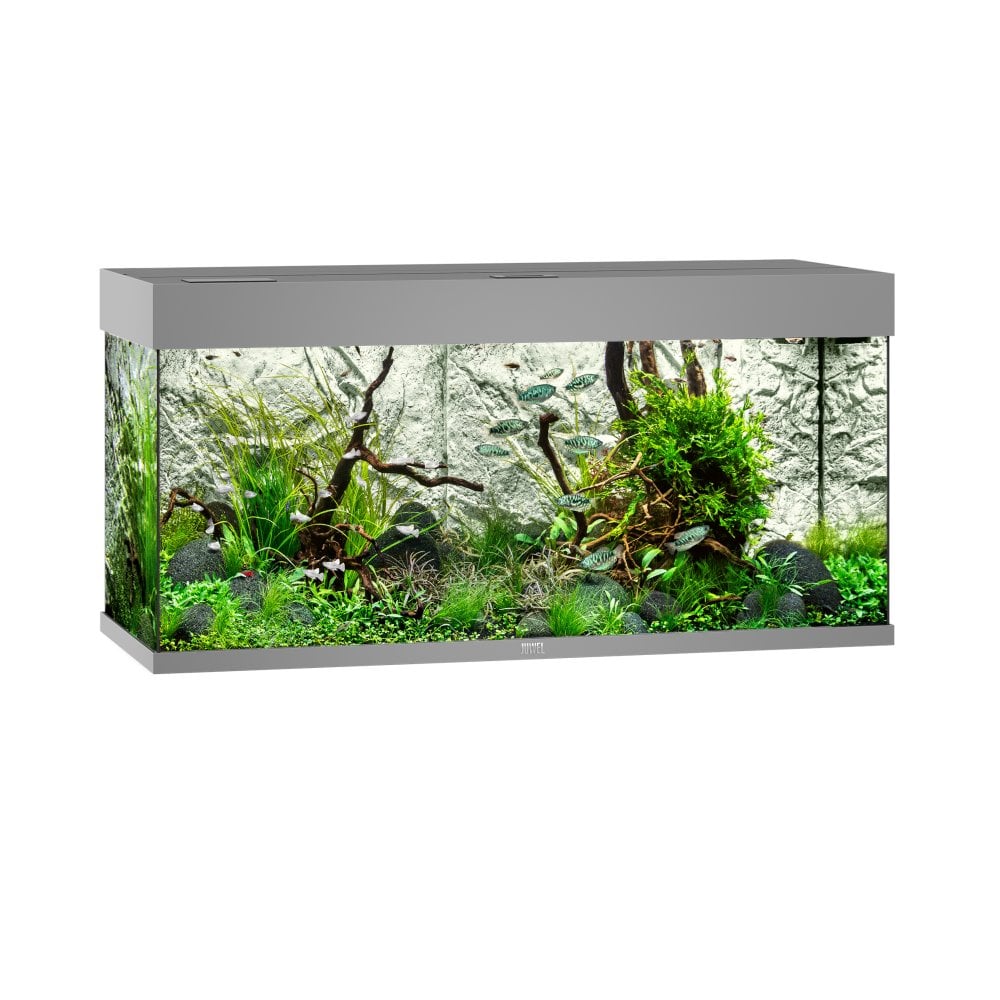 Juwel Rio 180 LED Aquarium