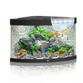 Juwel Trigon 190 LED Aquarium