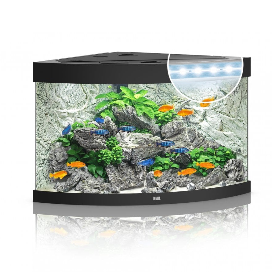 Juwel Trigon 190 LED Aquarium
