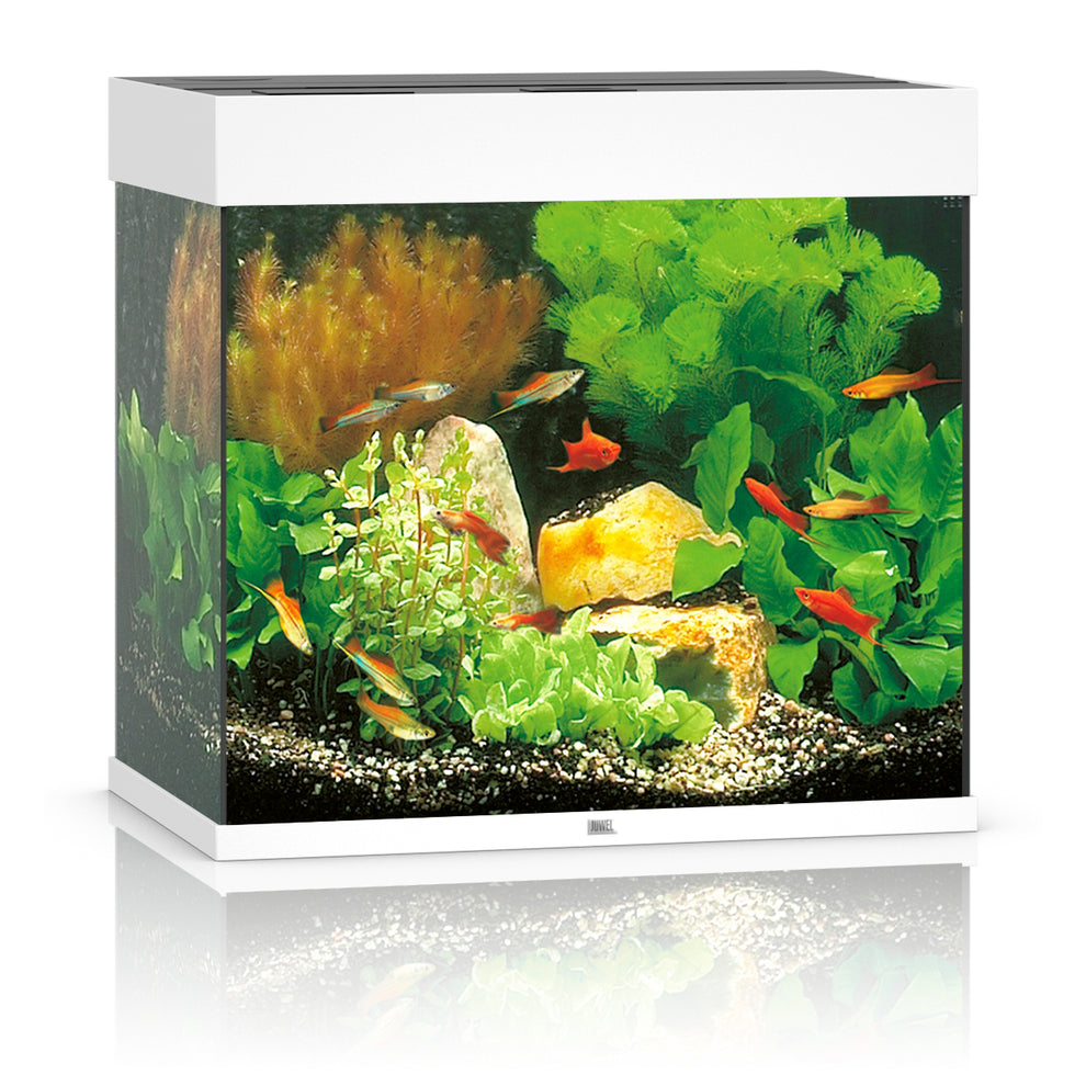 Juwel Lido 120 LED Aquarium