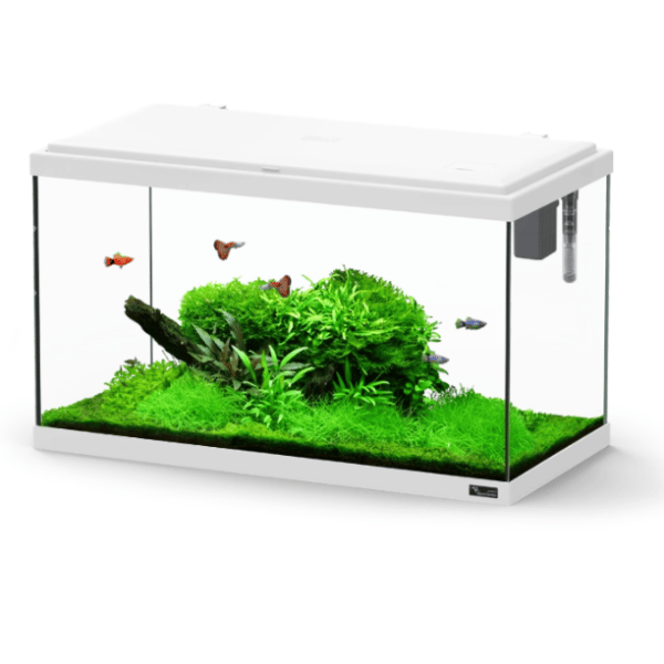 Explorer Amsterdam 85L Aquarium