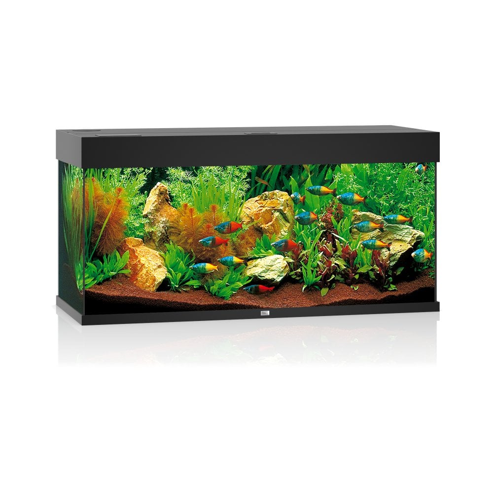 Juwel Rio 180 LED Aquarium