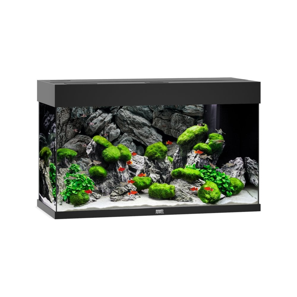 Juwel Rio 125 LED Aquarium