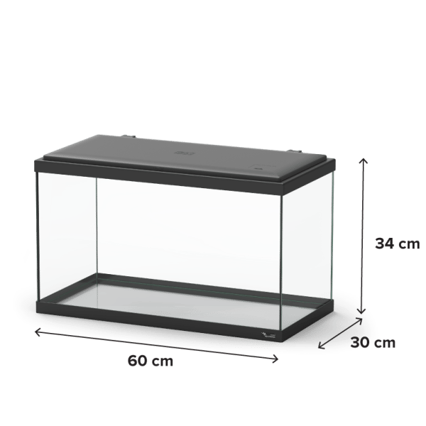 Explorer Amsterdam 85L Aquarium