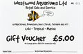 £5 Gift Voucher