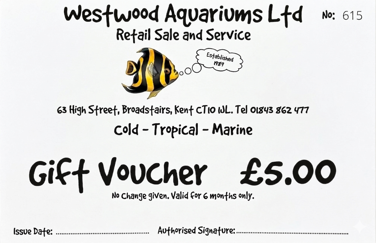 £5 Gift Voucher