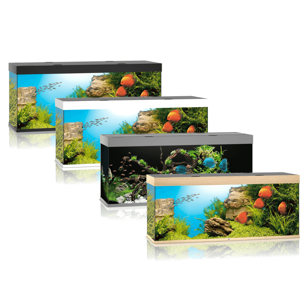 Juwel Rio 450 LED Aquarium