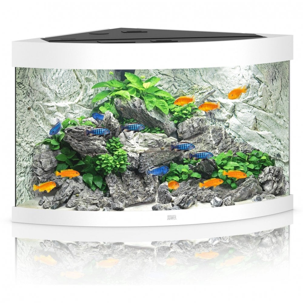 Juwel Trigon 350 LED Aquarium