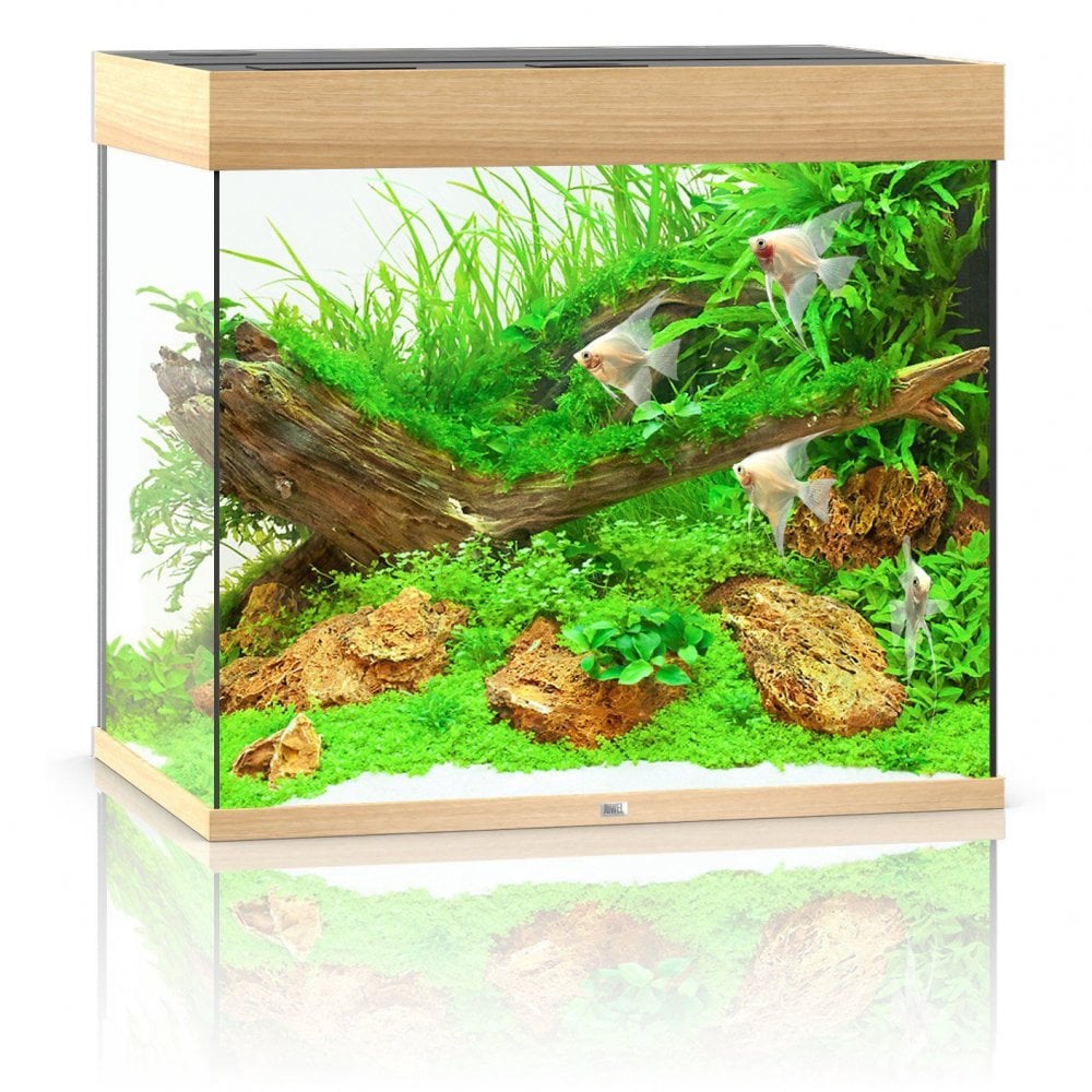 Juwel Lido 200 LED Aquarium
