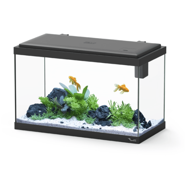 Explorer Vienna 42L Aquarium