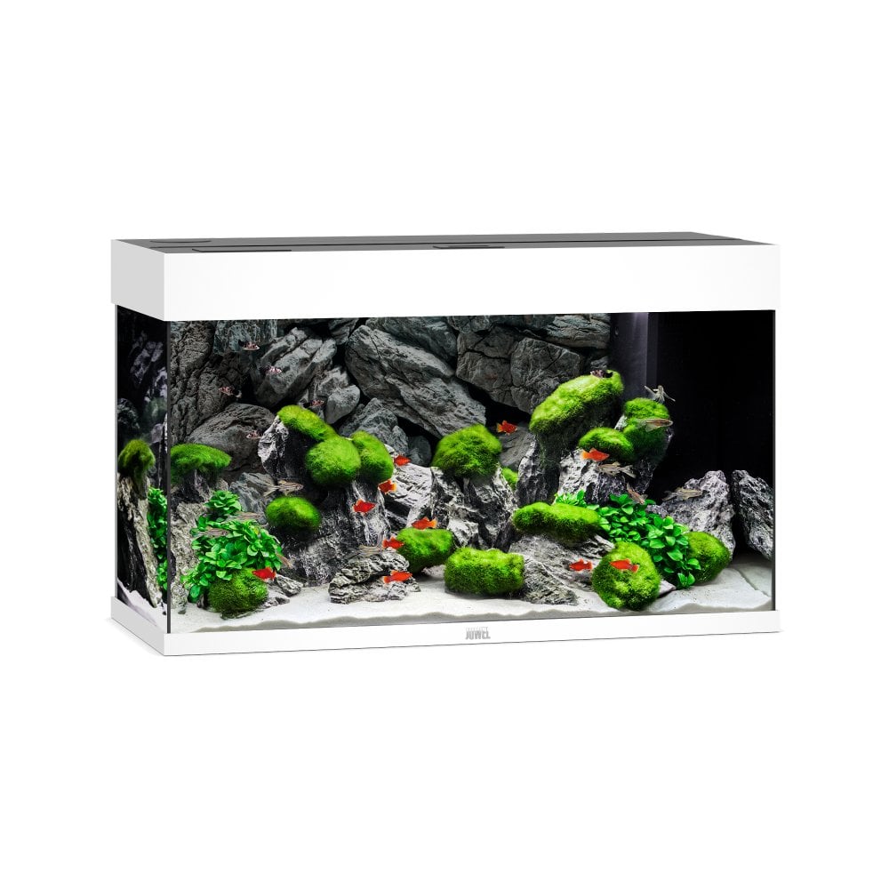 Juwel Rio 125 LED Aquarium