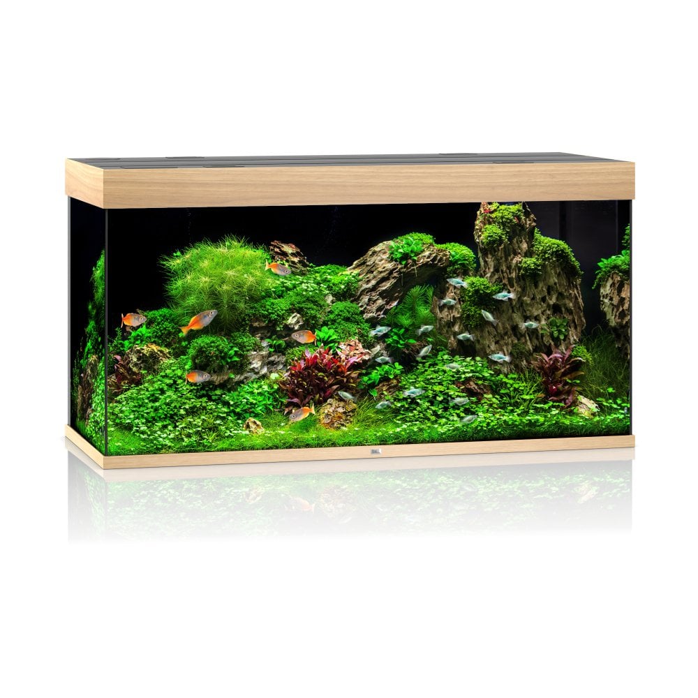 Juwel Rio 350 LED Aquarium