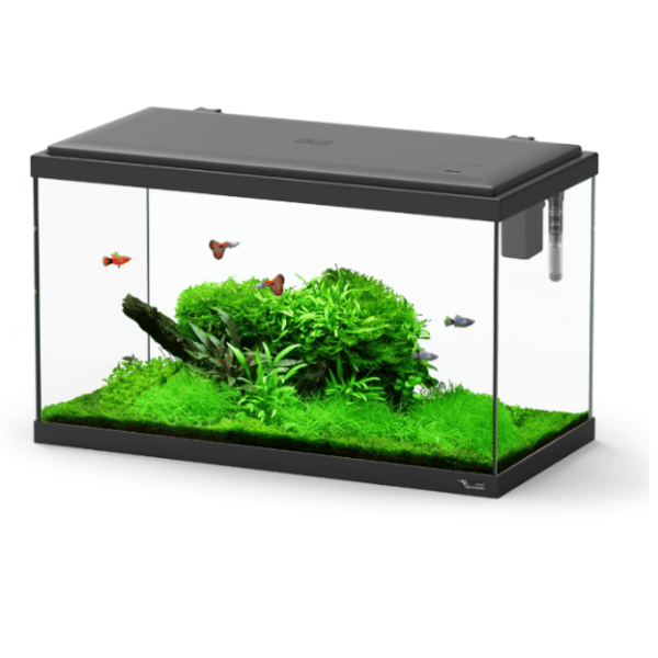 Explorer Paris 58L Aquarium
