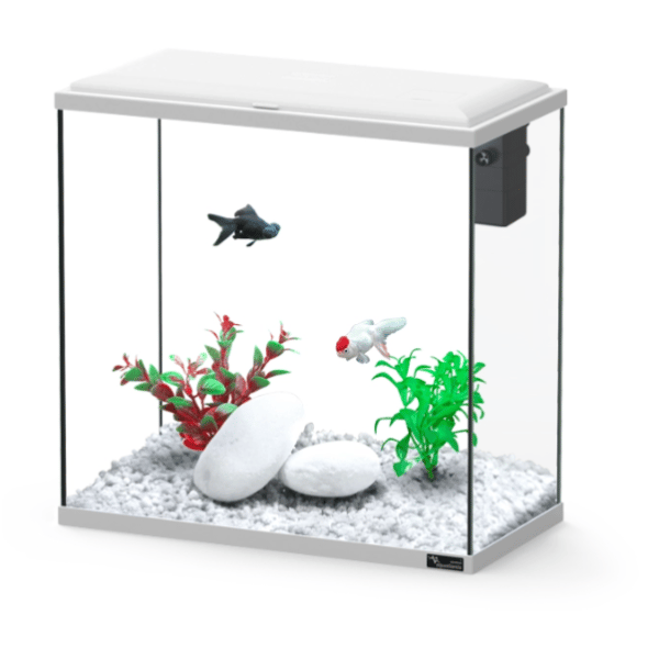 Explorer Dublin 34L Aquarium