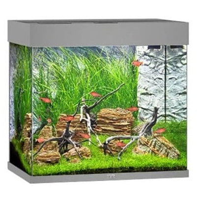 Juwel Lido 200 LED Aquarium