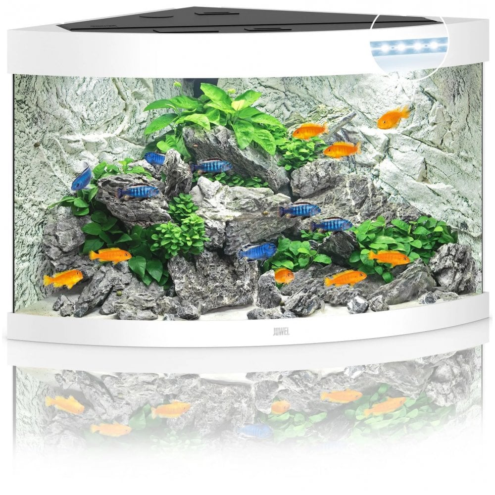 Juwel Trigon 190 LED Aquarium