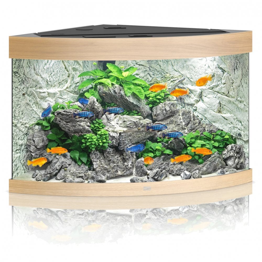 Juwel Trigon 190 LED Aquarium