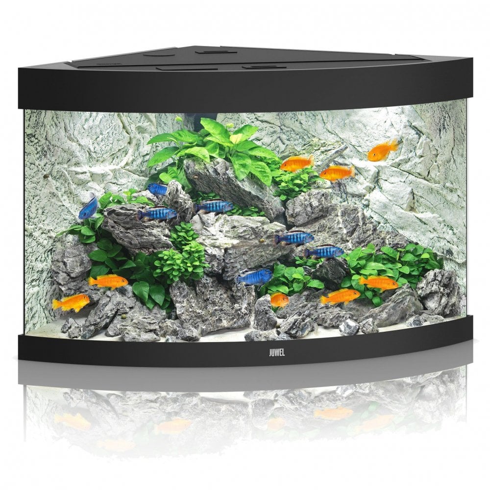 Juwel Trigon 350 LED Aquarium