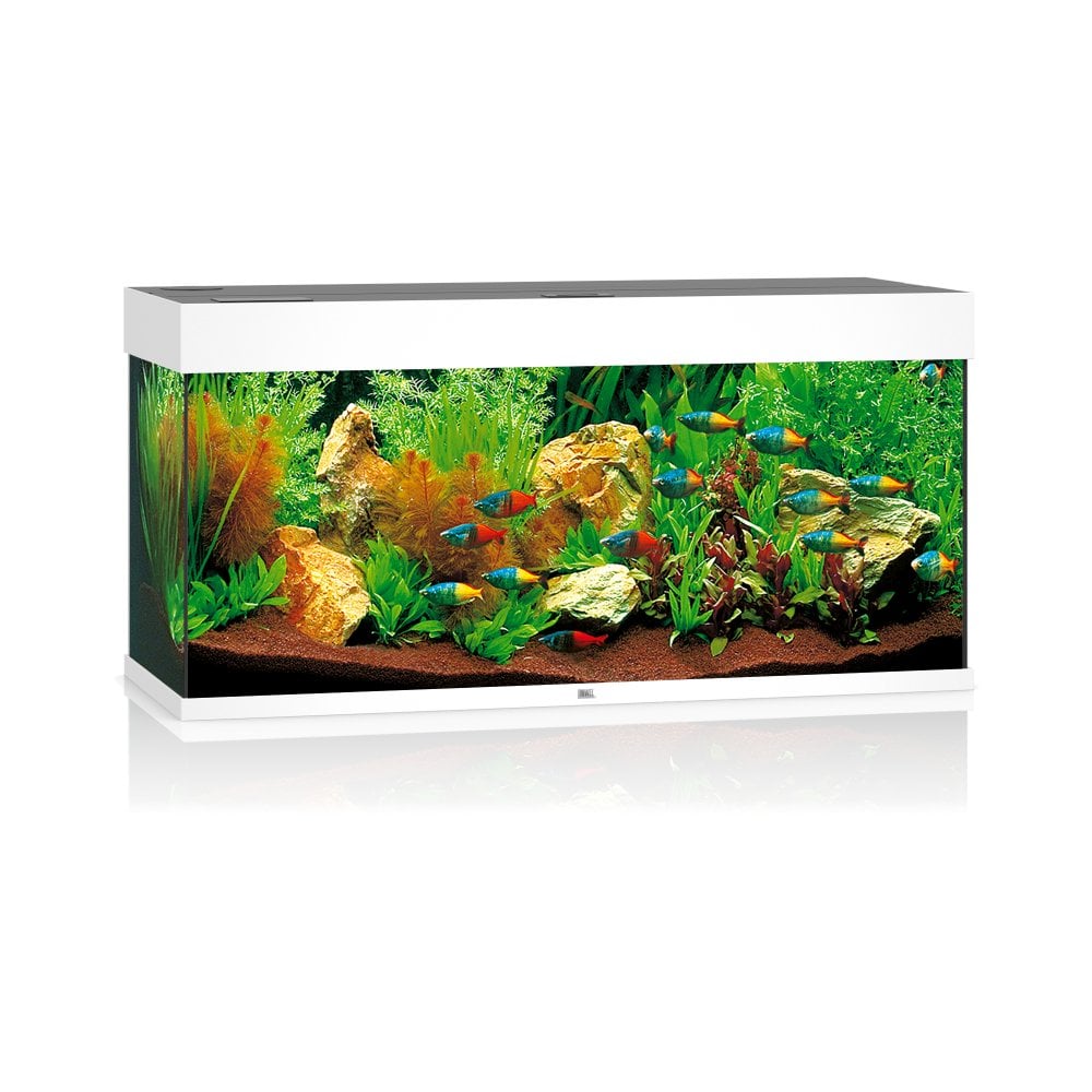 Juwel Rio 180 LED Aquarium