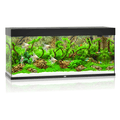 Juwel Rio 240 LED Aquarium