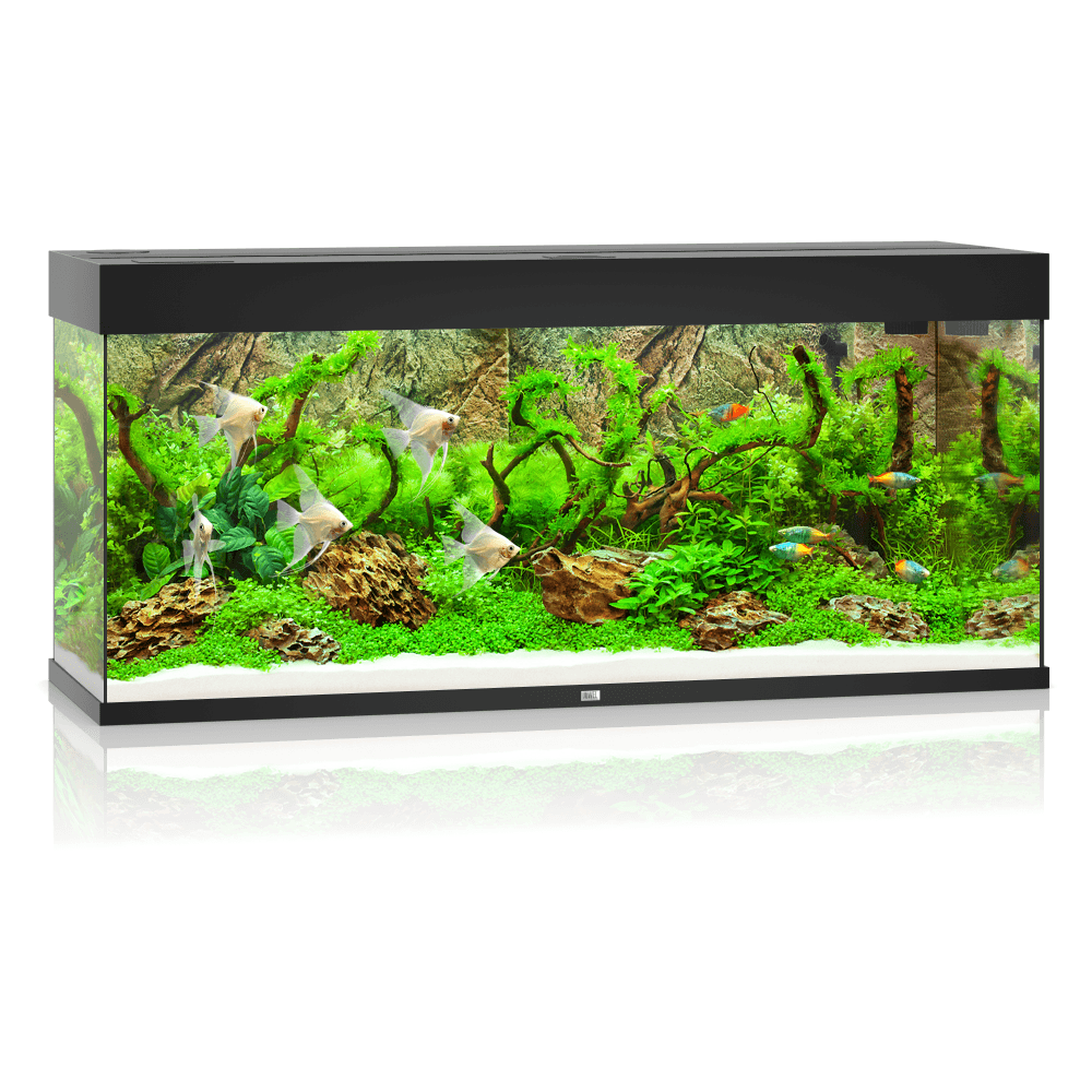 Juwel Rio 240 LED Aquarium