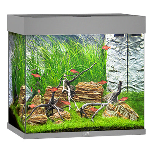 Juwel Lido 120 LED Aquarium