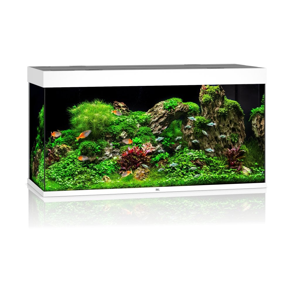 Juwel Rio 350 LED Aquarium