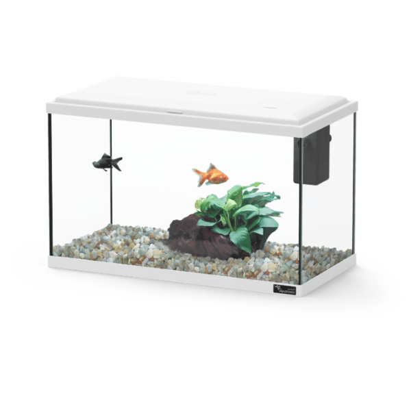 Explorer Lisbon 22L Aquarium