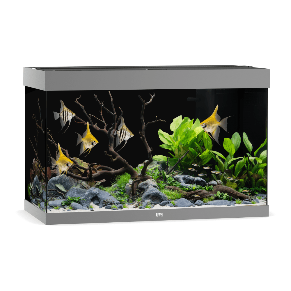 Juwel Rio 290 LED Aquarium