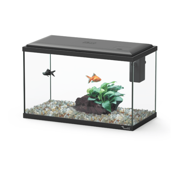 Explorer Lisbon 22L Aquarium