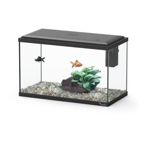 Explorer Lisbon 22L Aquarium