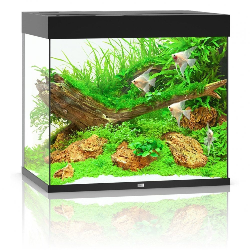 Juwel Lido 200 LED Aquarium