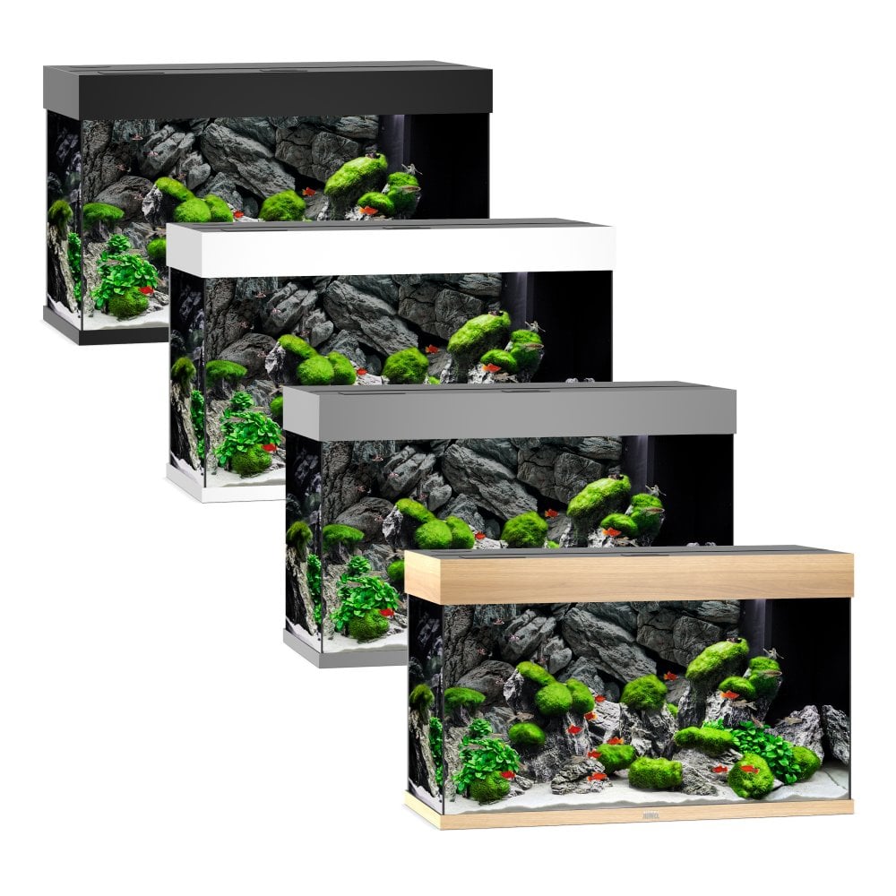 Juwel Rio 125 LED Aquarium