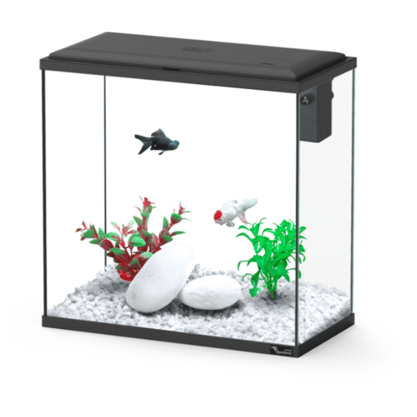 Explorer Dublin 34L Aquarium