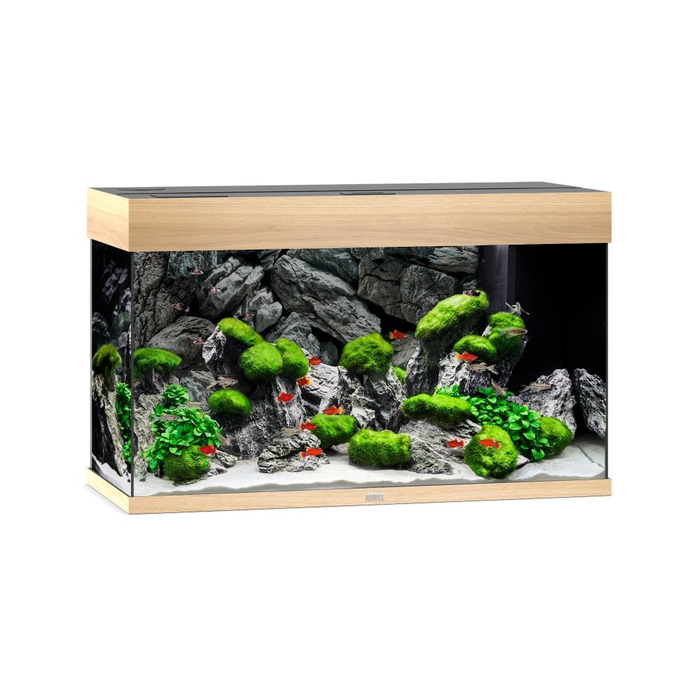 Juwel Rio 125 LED Aquarium