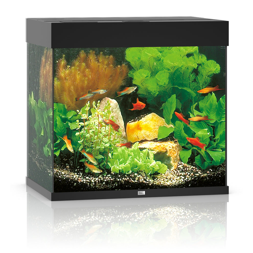 Juwel Lido 120 LED Aquarium