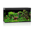 Juwel Rio 350 LED Aquarium
