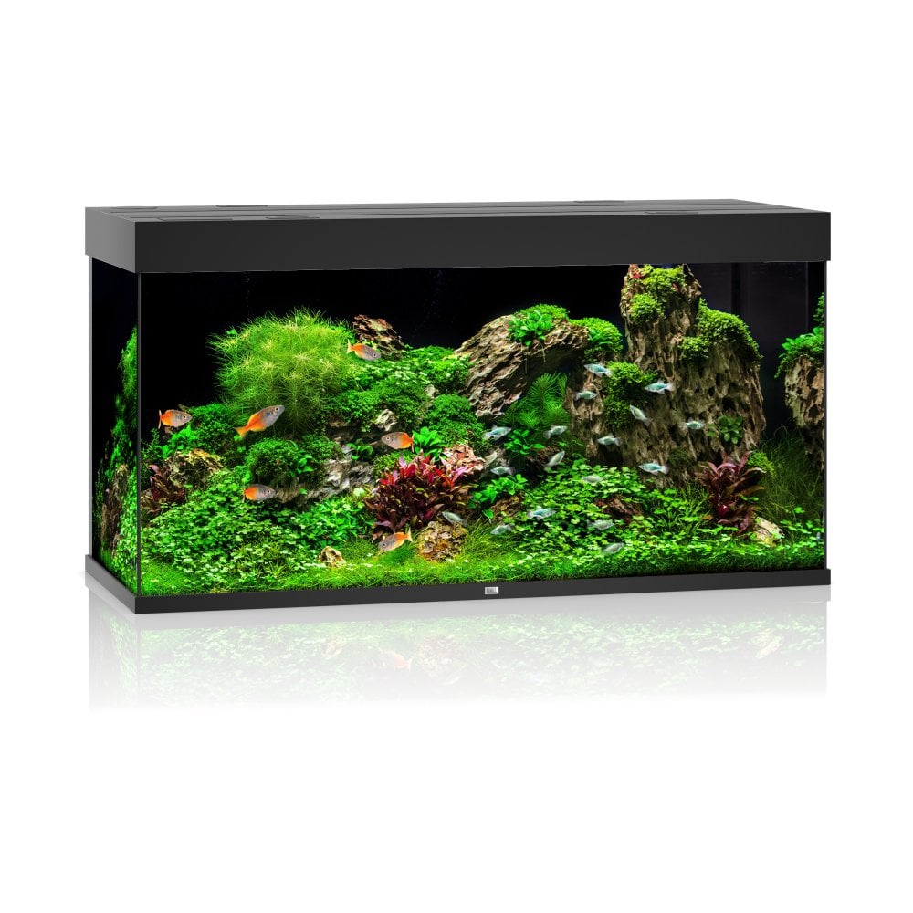 Juwel Rio 350 LED Aquarium